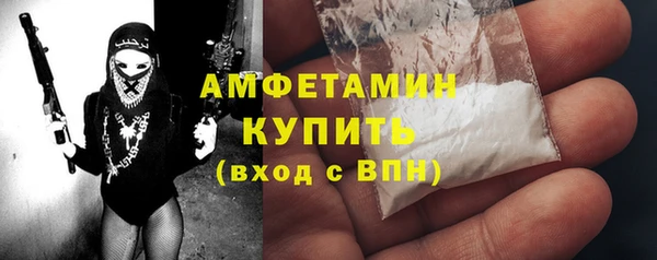 стафф Новодвинск