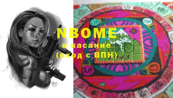 стафф Новодвинск