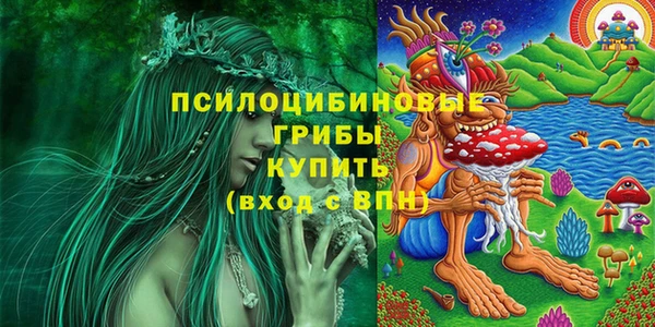 MDMA Premium VHQ Новозыбков