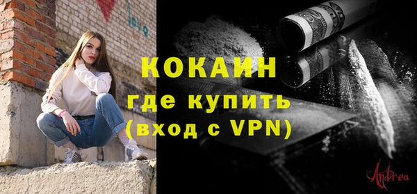стафф Новодвинск