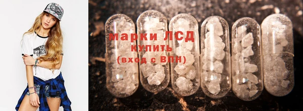 стафф Новодвинск