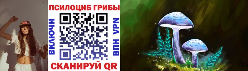 Купить  Яблоновский  Псилоцибиновые грибы Psilocybine cubensis 